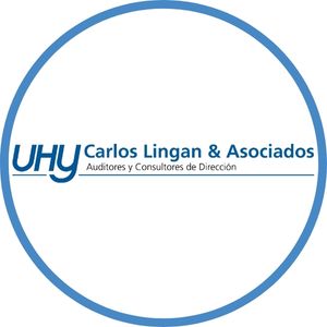 Carlos Lingan y Asociados - Auditores logo